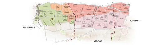 Bourgogne Chardonnay