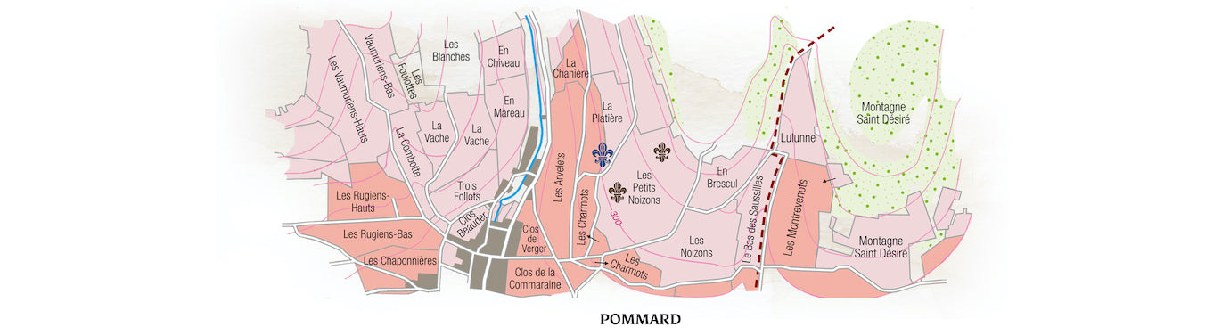 Pommard 1er Cru Clos de la Platiere