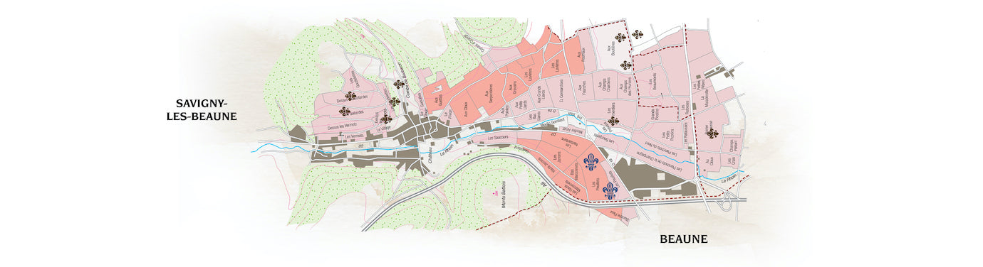 Savigny Les Beaune 1er Cru Les Peuillets