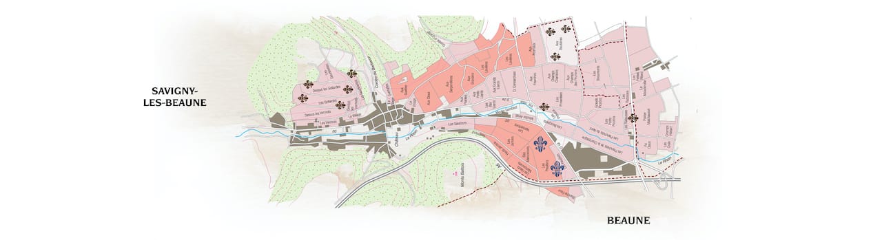 Savigny 1er Cru Peuillets Blanc