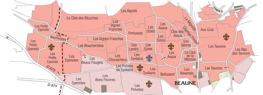 Beaune 1er Cru Les Tuvilains Blanc