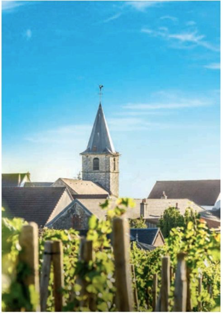 Burgundy: An eternity on borrowed time