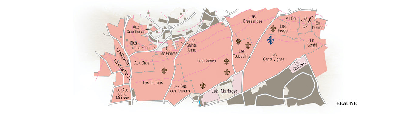 Beaune 1er Cru Les Cent Vignes