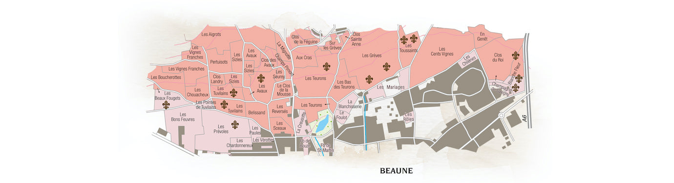 Beaune Rouge