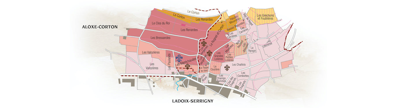 Corton Grand Cru Les Marechaudes Rouge