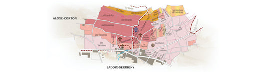 Corton Grand Cru Vergennes Blanc