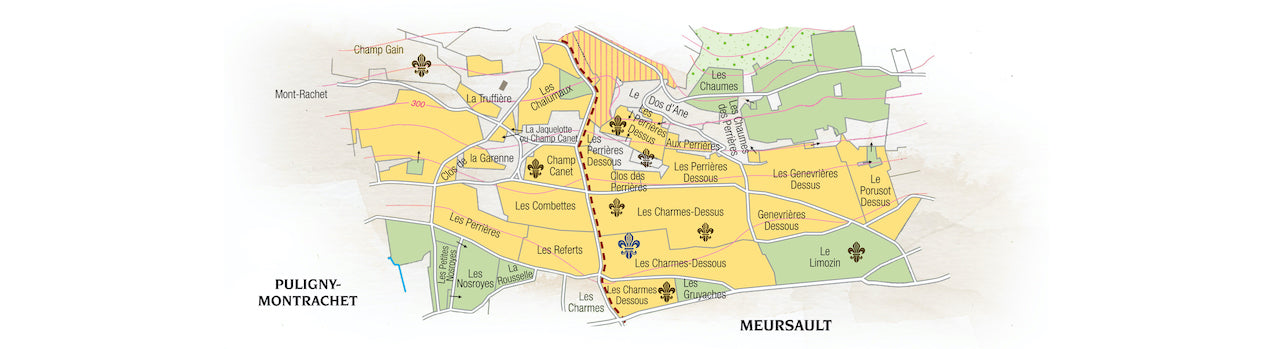 Meursault 1er Cru Les Charmes
