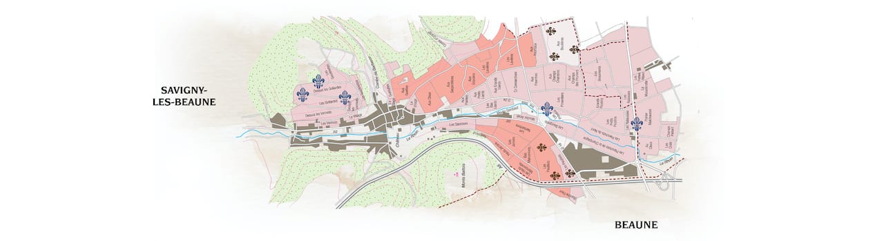 Savigny Les Beaune Blanc