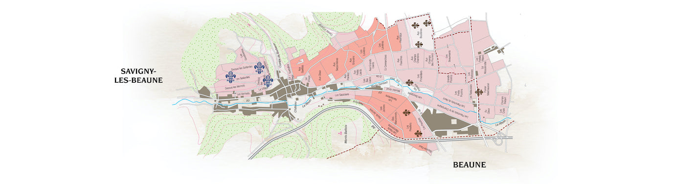 Savigny Les Beaune Rouge
