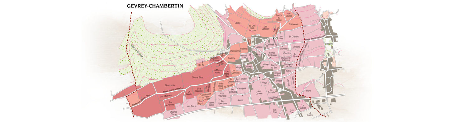 Gevrey Chambertin